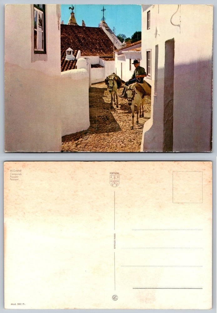 Vintage Algarve Portugal Postcard - Peasant Man on Donkey Village Street Scene