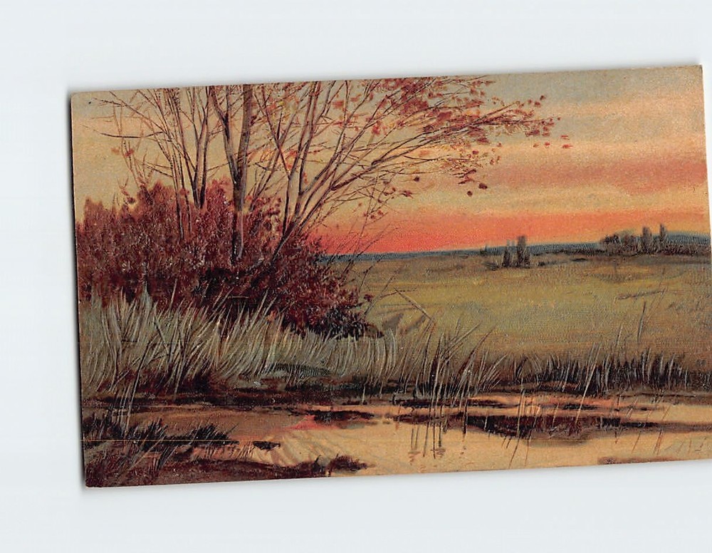 Postcard Embossed  Sunset Landscape