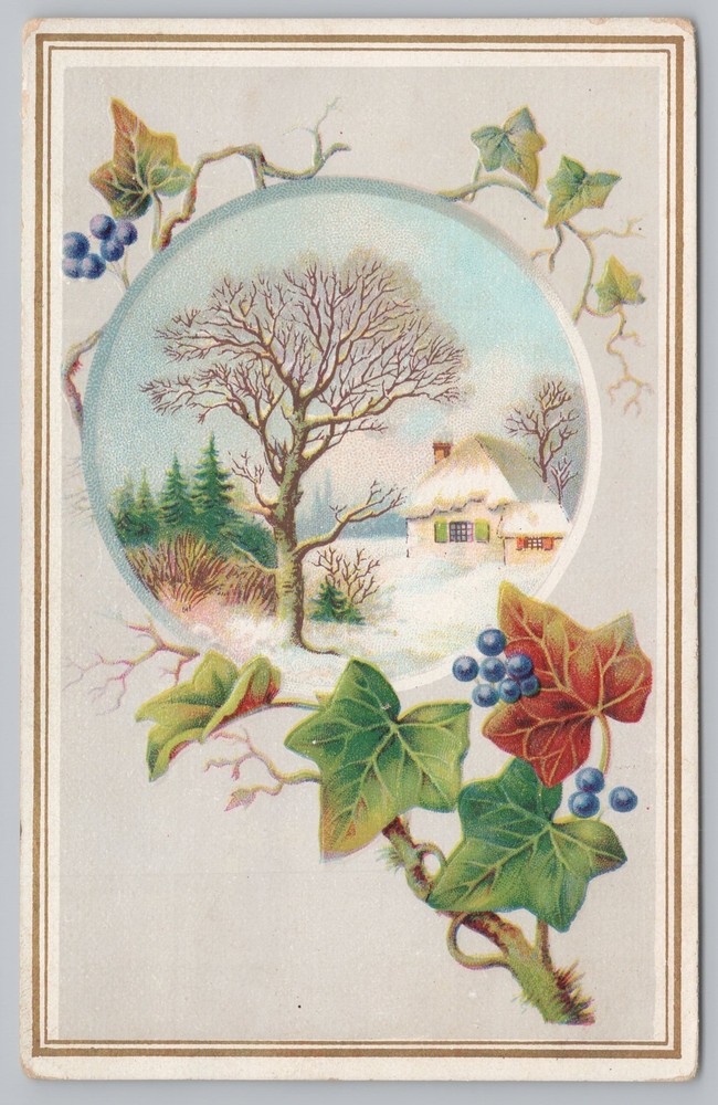 Greetings~Berries on Tree Branch~Snow Covered Cottage~Vintage Postcard