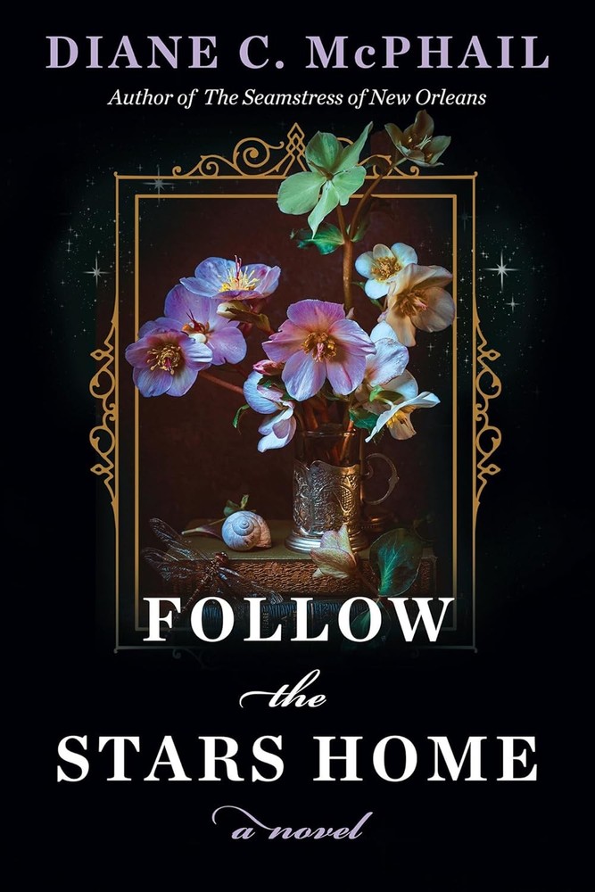 Follow the Stars Home Paperback by McPhail, Diane C