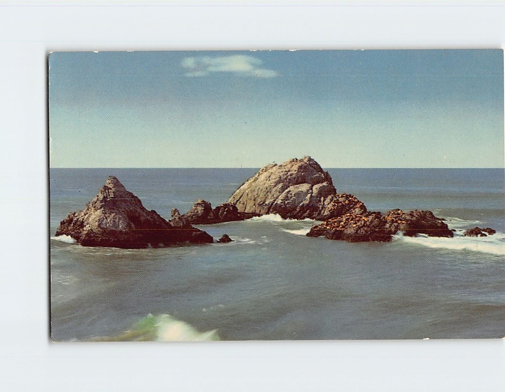 Postcard Seal Rocks San Francisco California USA North America