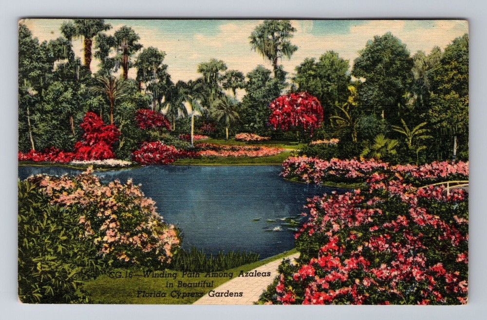 Cypress Gardens FL-Florida, Azaleas in Bloom, Antique Vintage Souvenir Postcard
