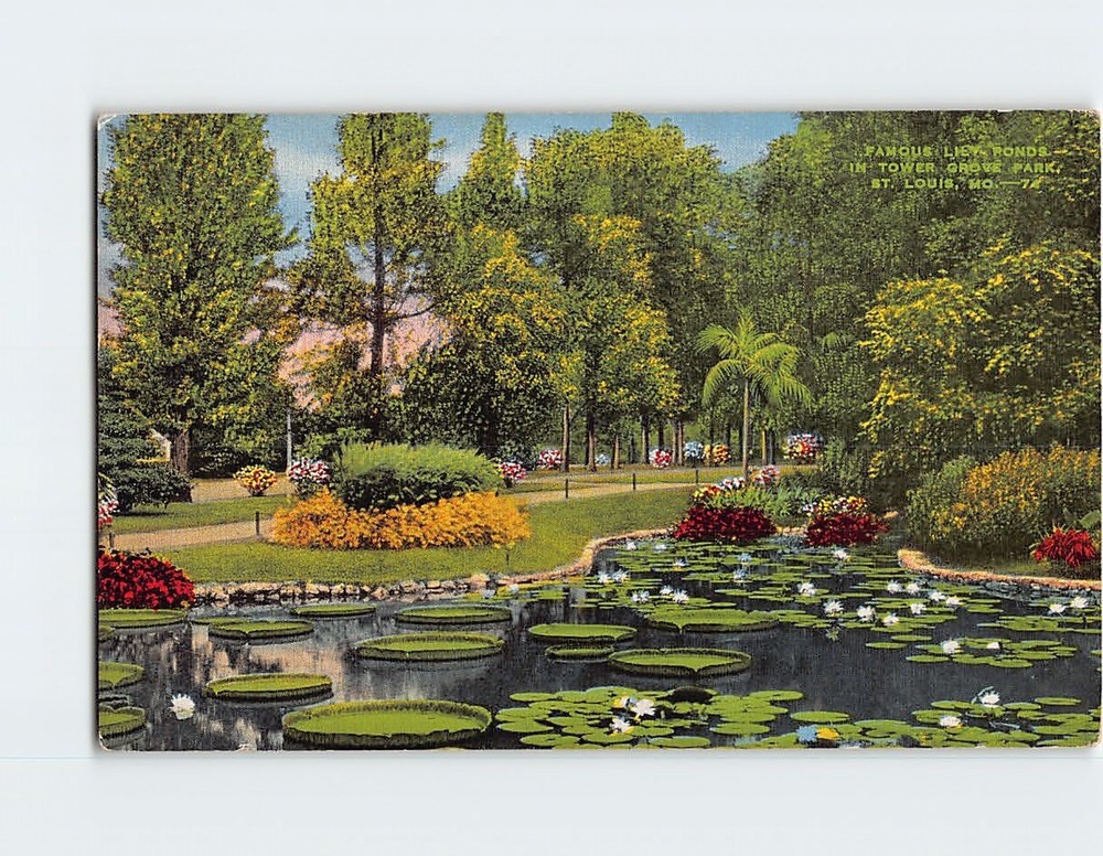 Postcard Famous Lily Ponds in Tower Grove Park St. Louis Missouri USA