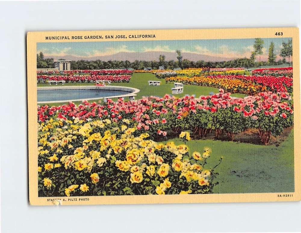 Postcard Municipal Rose Garden San Jose California