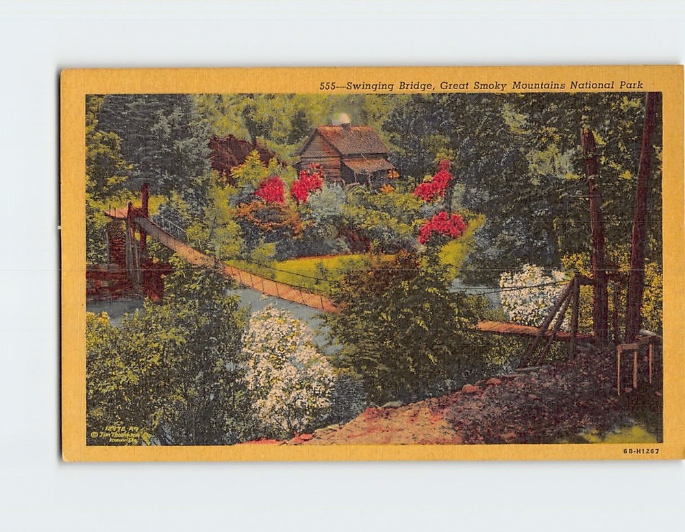 Postcard Swinging Bridge Great Smoky Mountains National Park USA