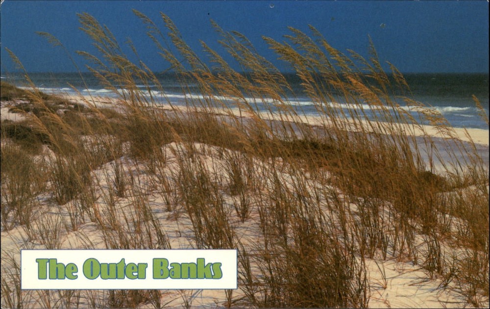 Outer Banks North Carolina Sea Oats sand dune ocean beach vintage postcard