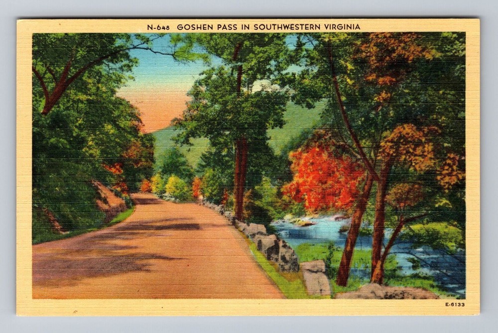 Virginia VA Goshen Pass In Southwestern State Vintage Postcard