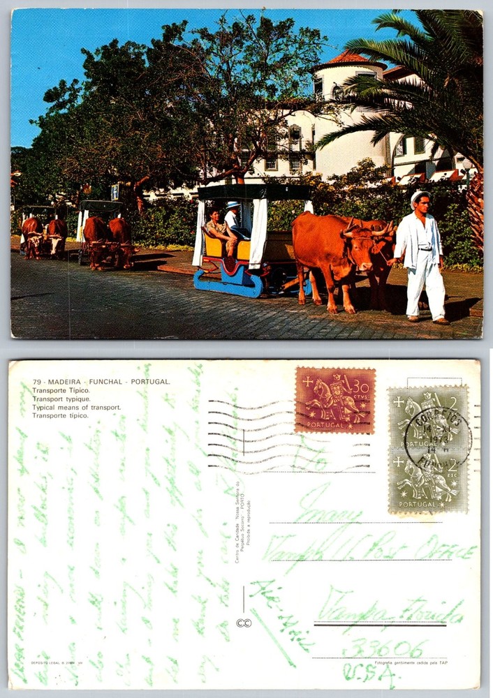 1973 Funchal Madeira Portugal Ox-Cart Sled Transporte Tipico Postcard