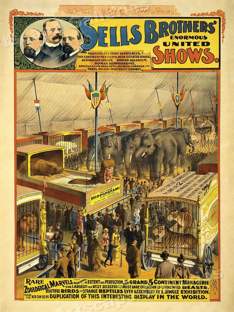 1895 Sells Bros Circus Vintage Poster Zoological Wonders 24x32