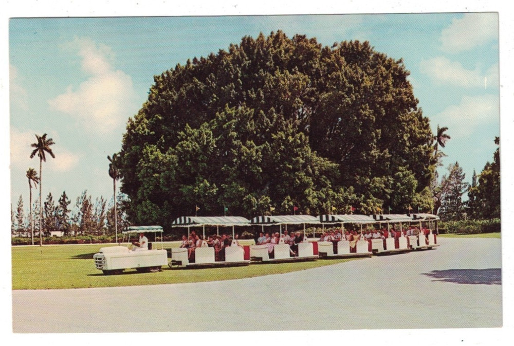 Vintage 1950'S Hialeah Park Florida Sightseeing Tram Train Postcard
