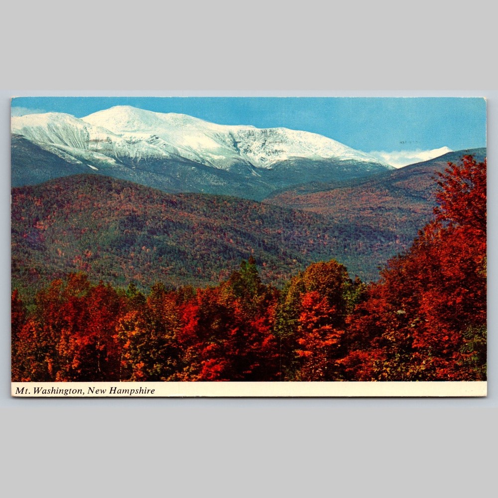 Postcard Mt. Washington New Hampshire Autumn Foliage