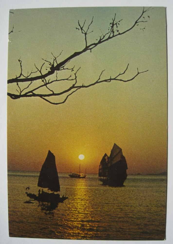 Cruising Junks at Sunset, Hong Kong Vintage 4x6 Boat Postcard