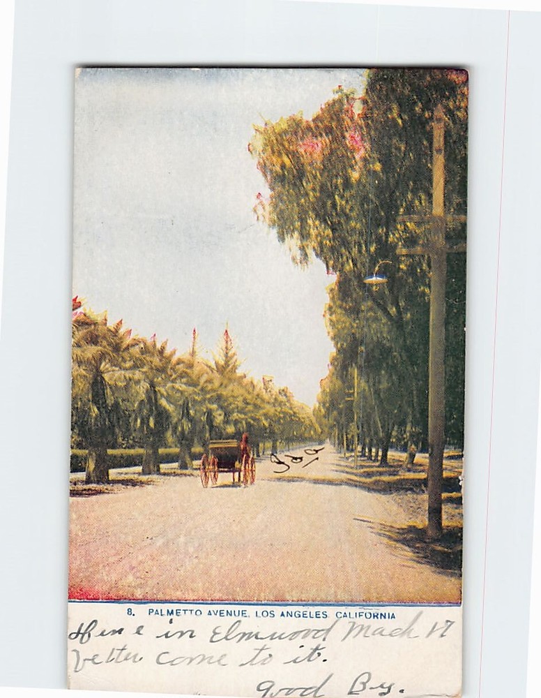 Postcard Palmetto Avenue Los Angeles California USA