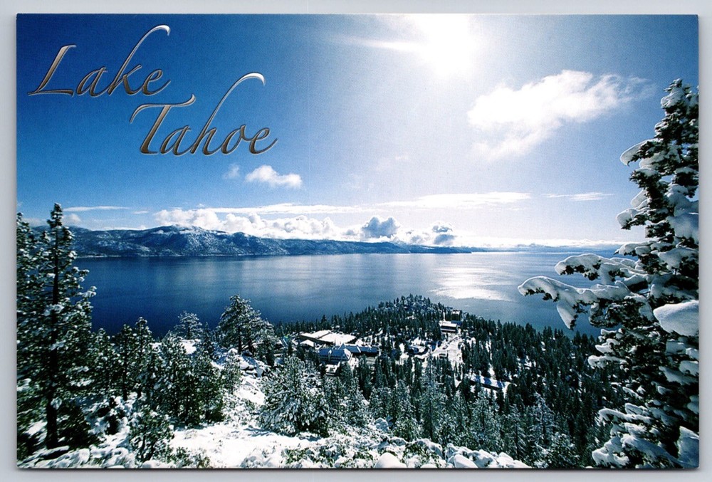 Lake Tahoe California Postcard Winter Scene Snow Covered Trees Sunny Day USA