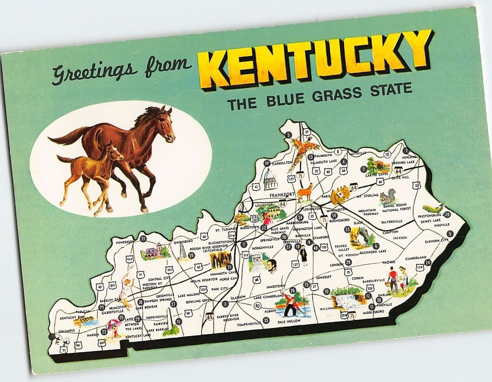 Postcard Greetings from Kentucky The Blue Grass State USA North America