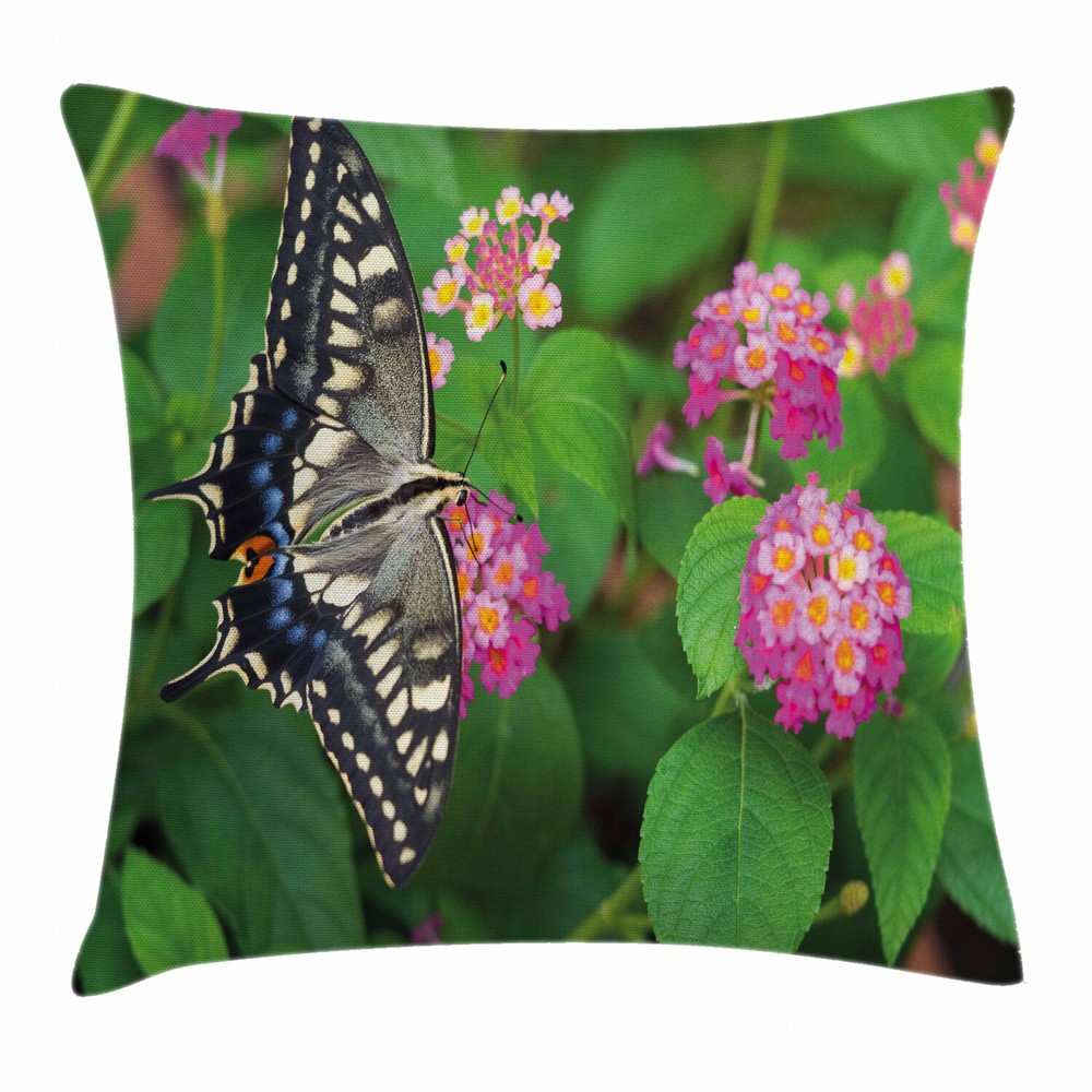 Swallowtail Butterfly Flower Square Cushion Cover 20 Inches