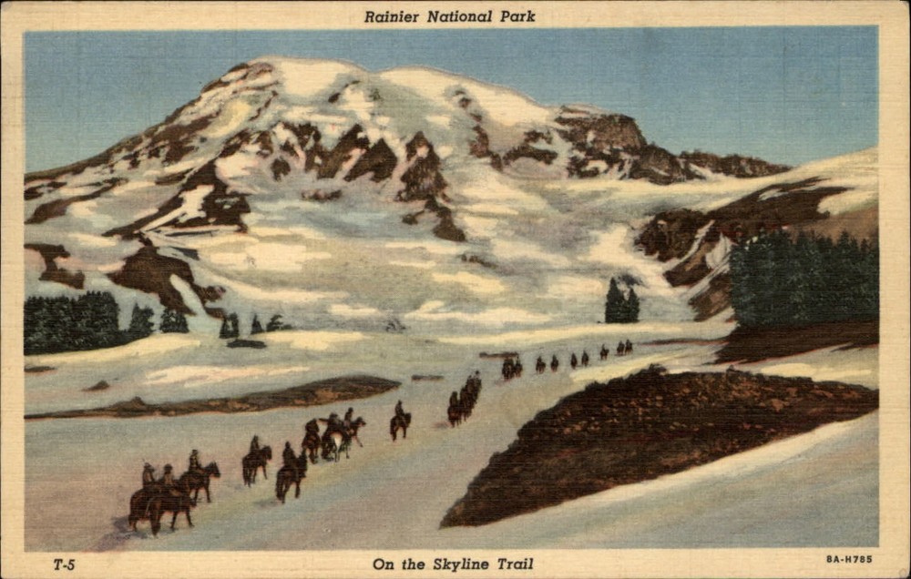 Mt Rainier Natl Park Washington Skyline Trail snow mailed 1953 vintage postcard