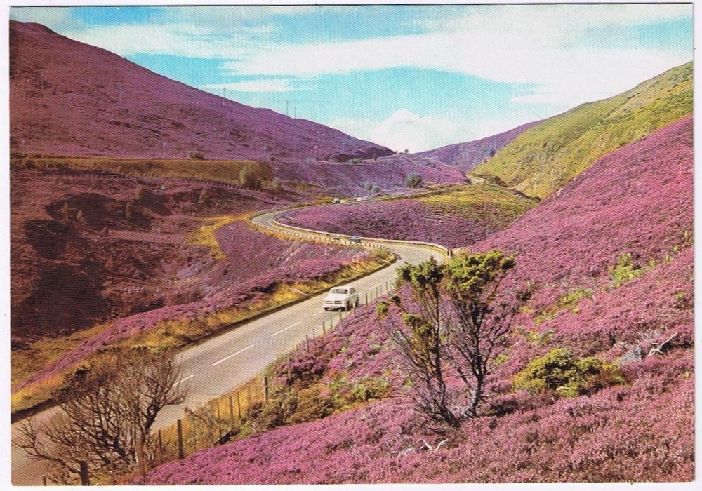 Postcard Purple Heather The Slochd Pass Inverness-Shire Scotland UK