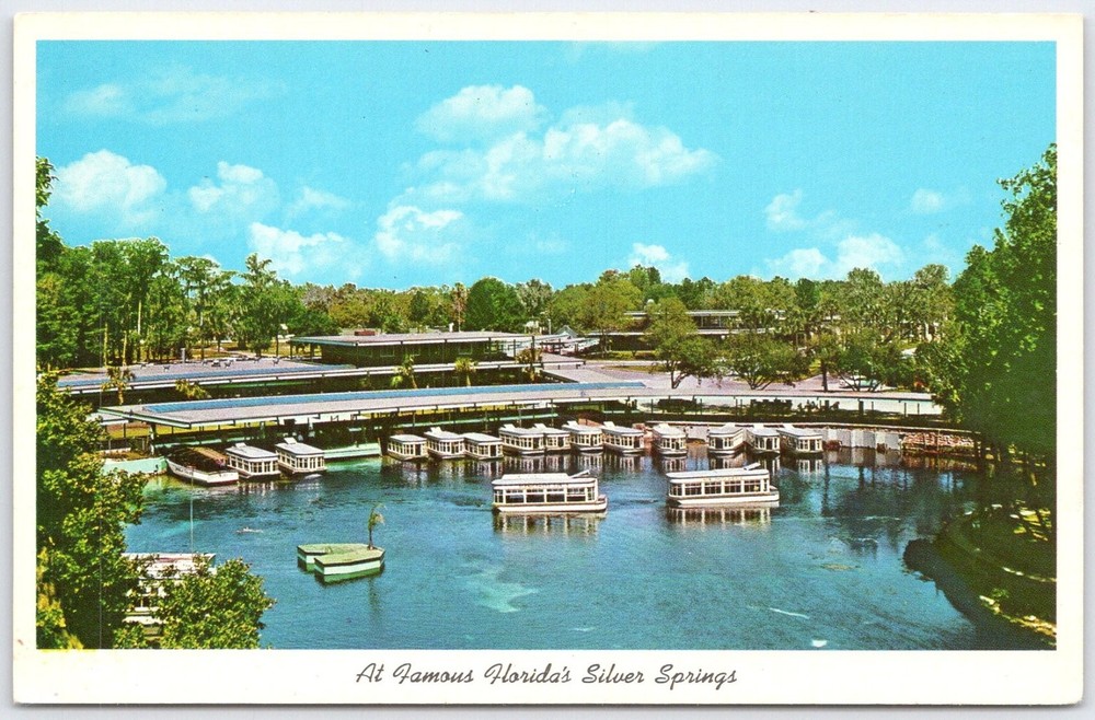 Vintage Florida Silver Springs Glass Bottom Boats Chrome Postcard Ocala