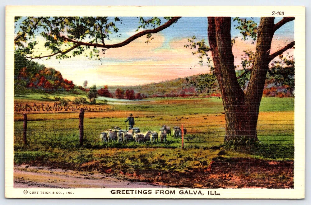 VINTAGE OLD OUTDOOR ANTIQUE POSTCARD IMAGE LAKE WATER MAN SHEEP ROAD TREES