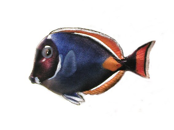 Bovano - Wall Sculpture - Achilles Tang-image