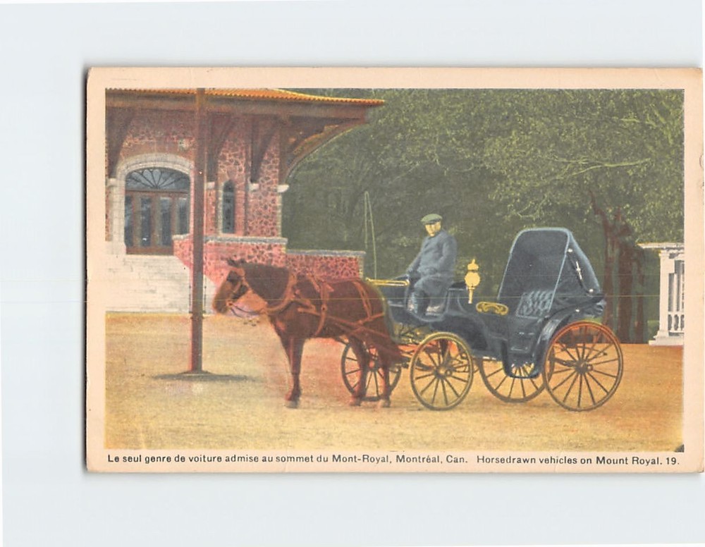 Postcard Horsedrawn vehicles on Mount Royal Montreal Canada