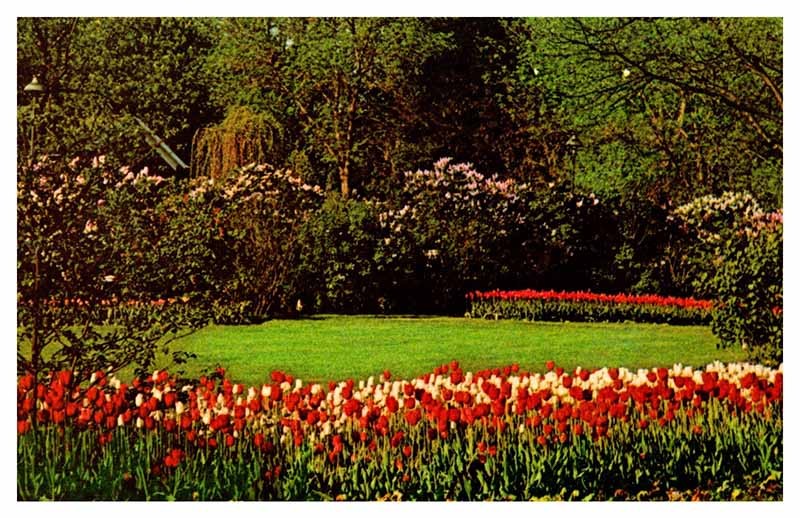 Postcard GARDEN SCENE Lombard Illinois IL m/09 AT0211
