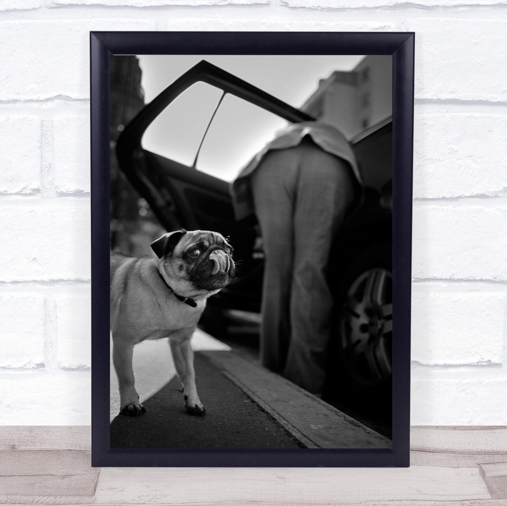 Dog Pet Tongue Lick Street Humour Paris Humour Wall Art Print