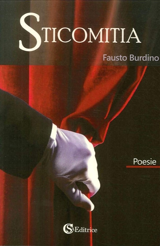 Fausto Burdino Sticomitia (Paperback)Another great item from Rarewaves USA | Free delivery!