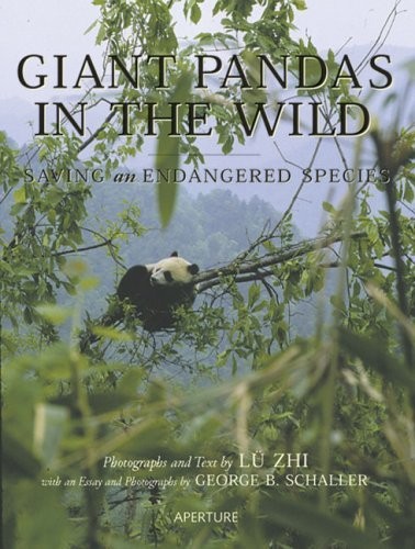 Giant Pandas in the Wild: Saving an Endangered Species by Zhi