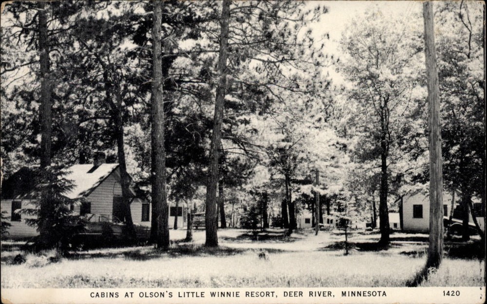 Deer River Minnesota Olson's Little Winnie Resort cabins unused vintage postcard