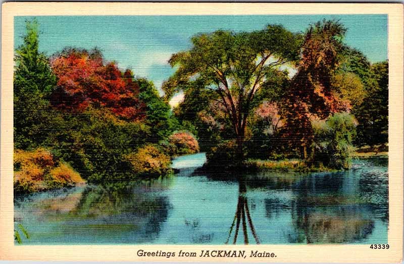 Postcard NATURE SCENE Jackman Maine ME m/09 AM6318