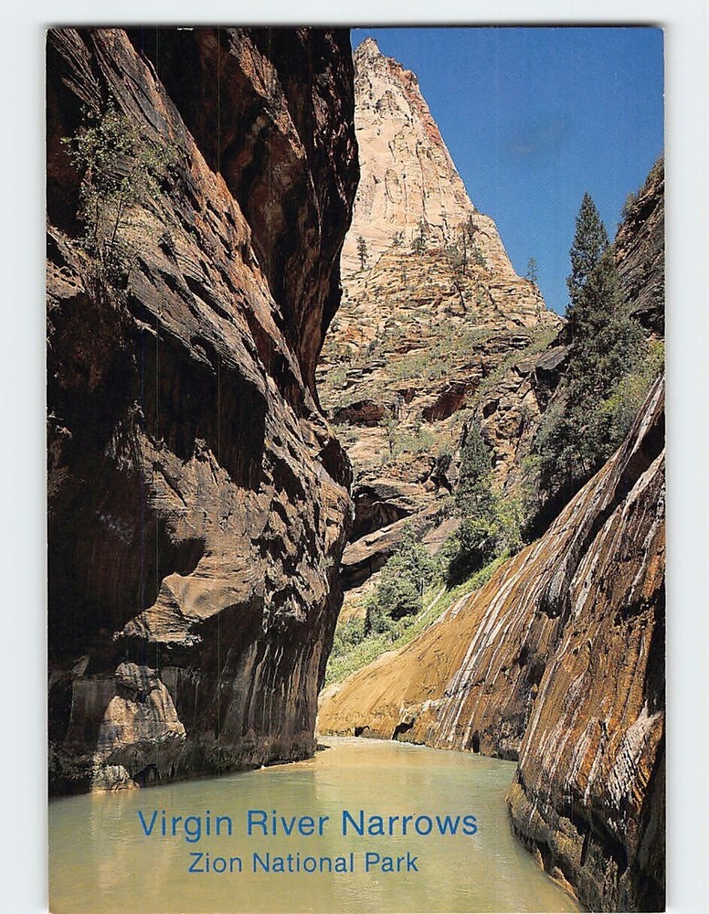 Postcard Virgin River Narrows Zion National Park Utah