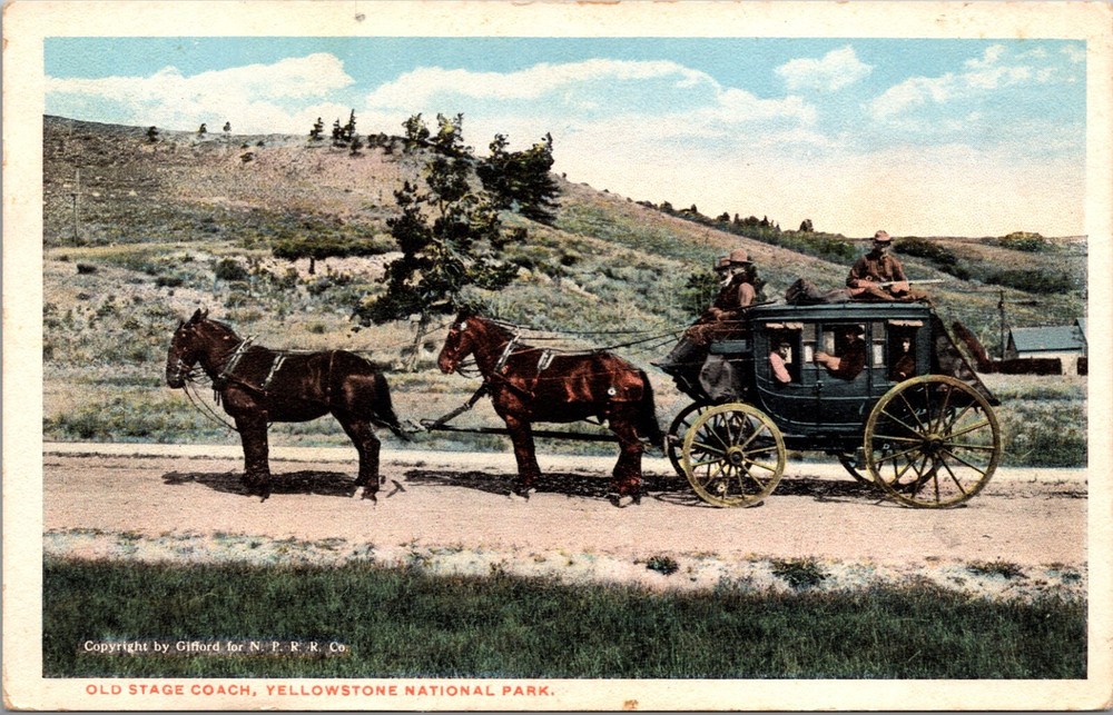 Yellowstone National Park Old Stage Coach, 4 Horse Hitch Vintage Postcard
