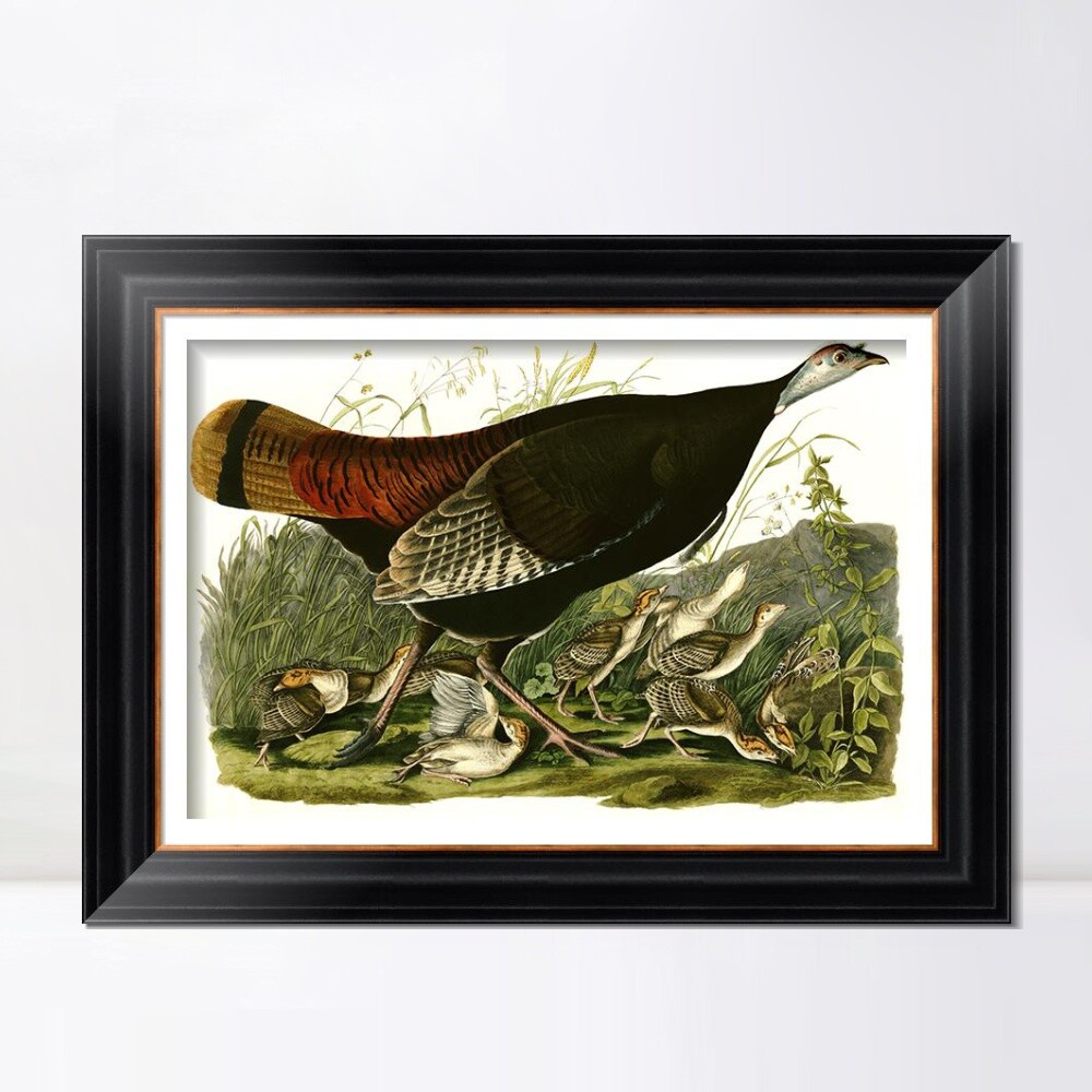 Framed Canvas Giclee Print Wild Turkey by John James Audubon Wall Art Home Decor