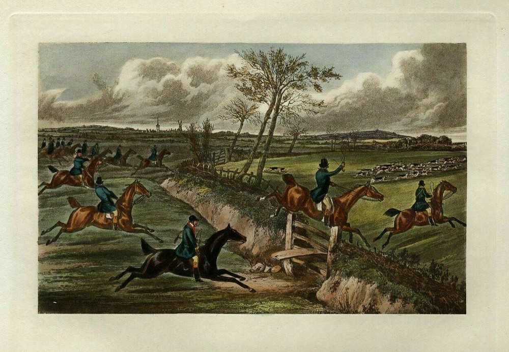 Fox Hunting Horses Jumping The Ditch And Fence Sportsman Dogs Foxhounds Whip