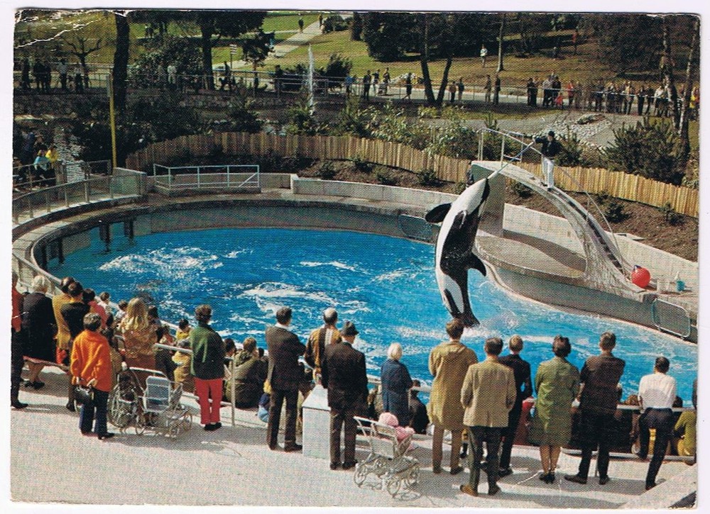 Postcard Animal Skana Vancouver Public Aquarium Stanley Park Vancouver BC