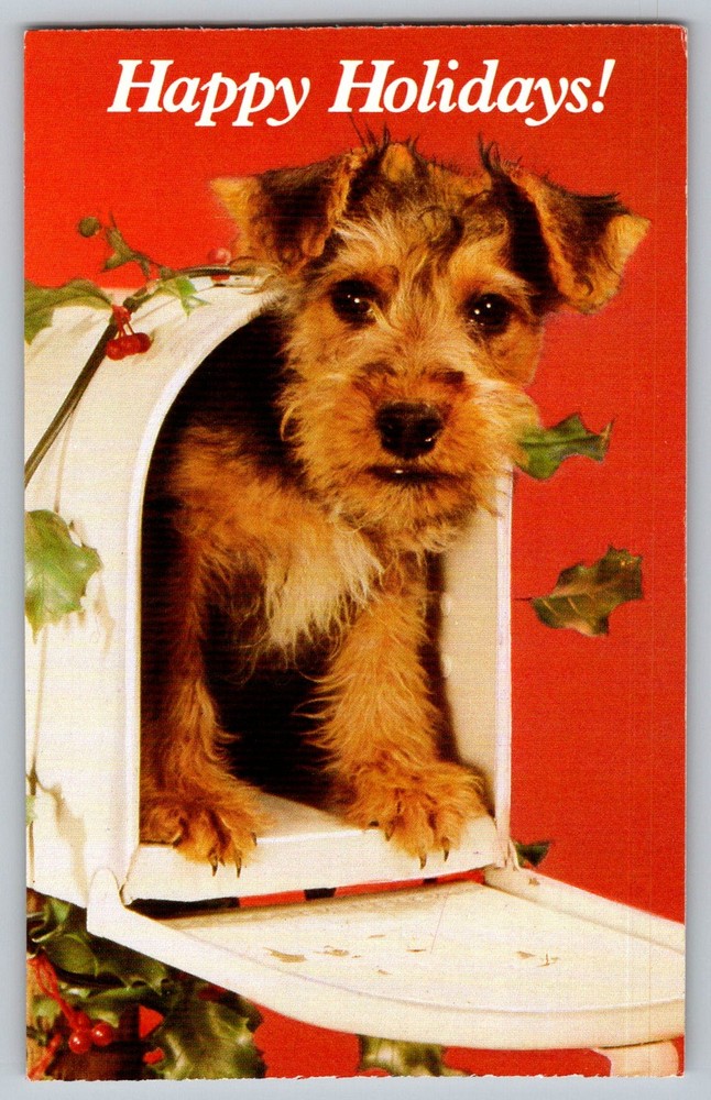Postcard - Happy Holidays, The North Shore Animal League