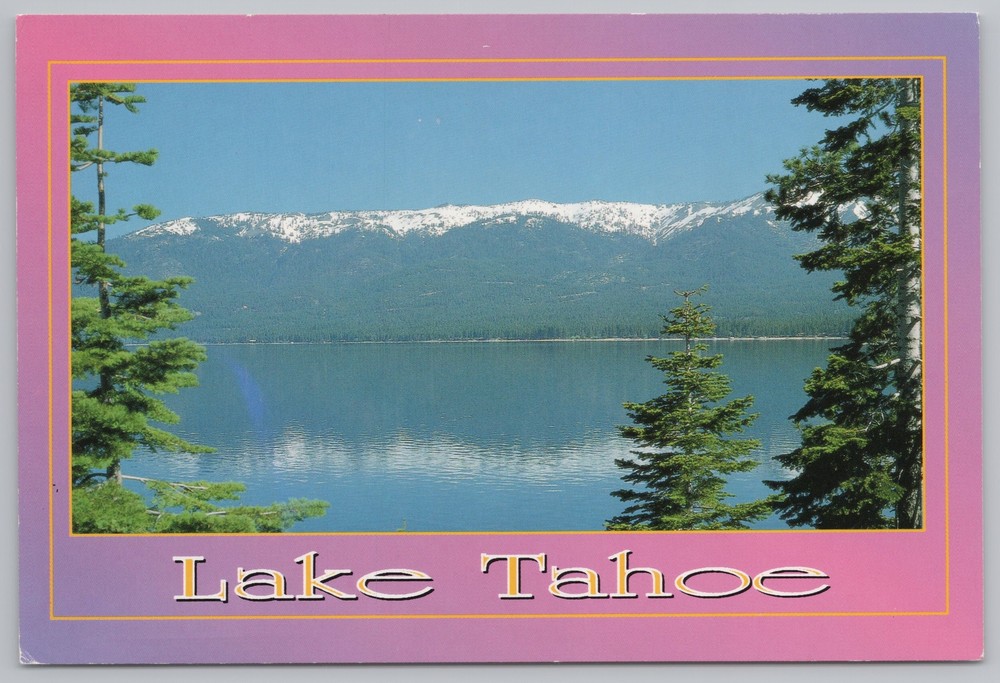 State View~Air View Lake Tahoe California Nevada~Continental Postcard