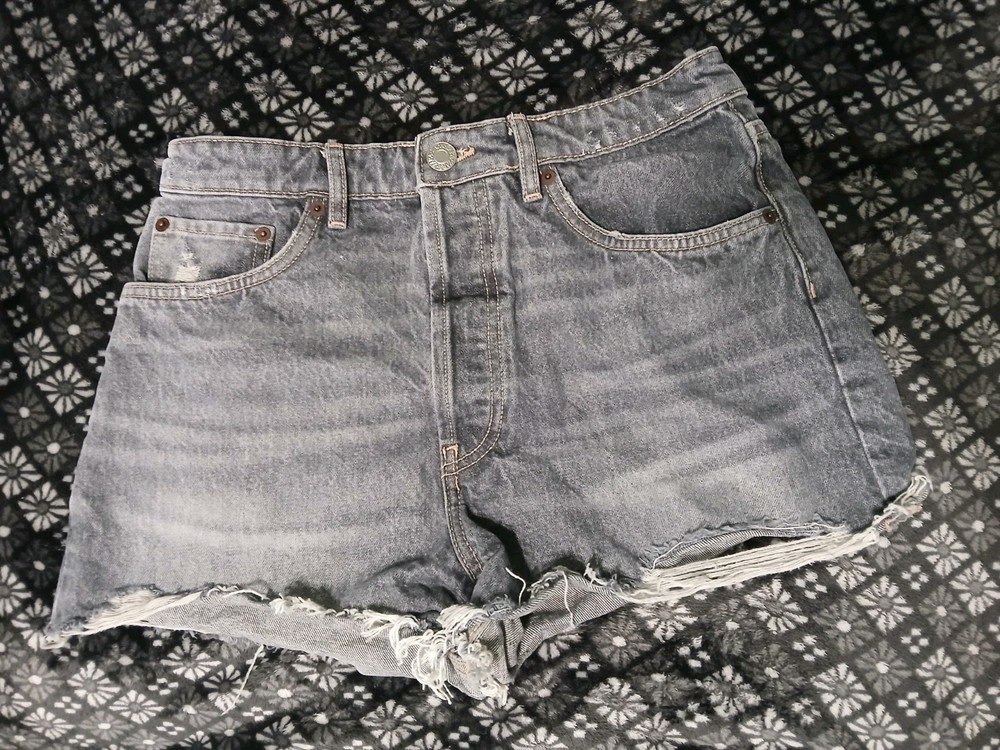 Zara Shorts Size 6 Women's Dark Wash