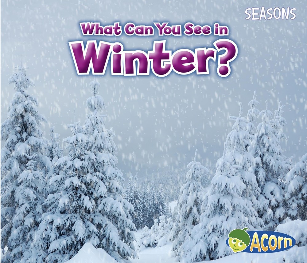 What Can You See in Winter? (Seasons) by Smith