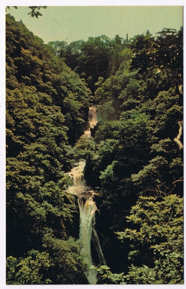 Postcard The Mynach Falls Devil's Bridge Aberystwyth Wales UK