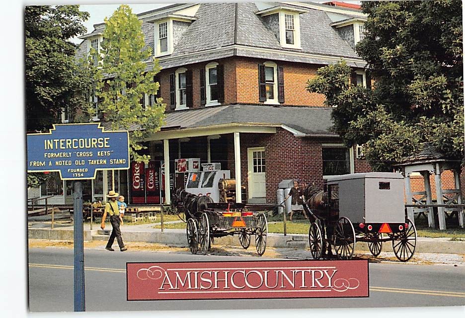 Postcard Amish Country Street Scene Intercourse Pennsylvania USA