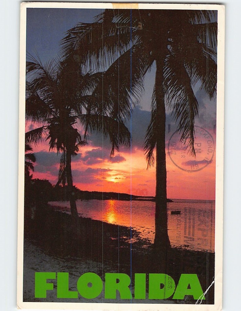 Postcard Beach Sunset Scene in Florida USA