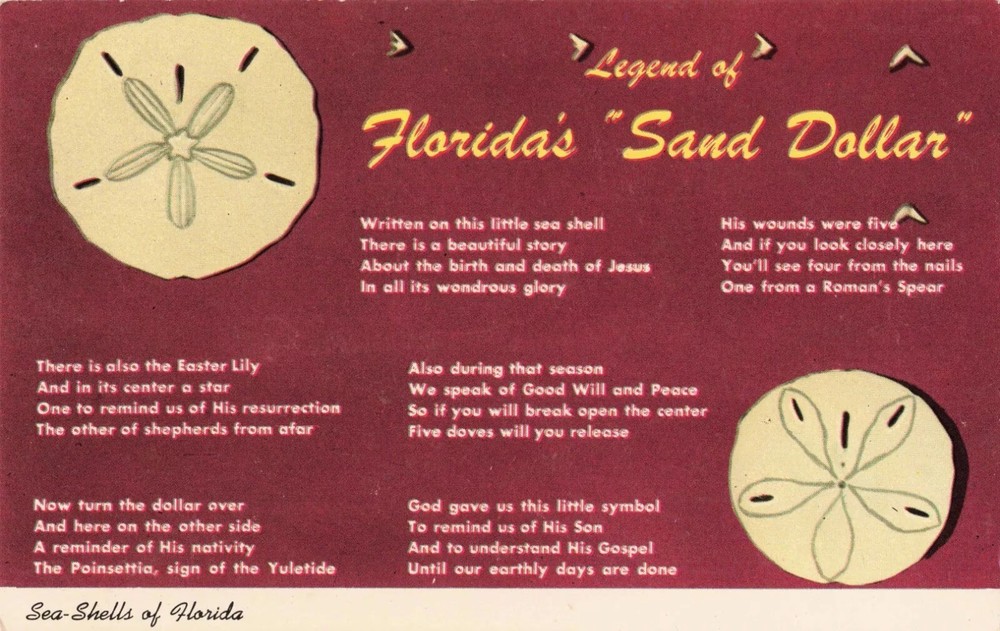 Legend of Florida's Sand Dollar - FL Postcard