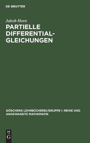Jakob Horn Partielle Differentialgleichungen (Hardback)