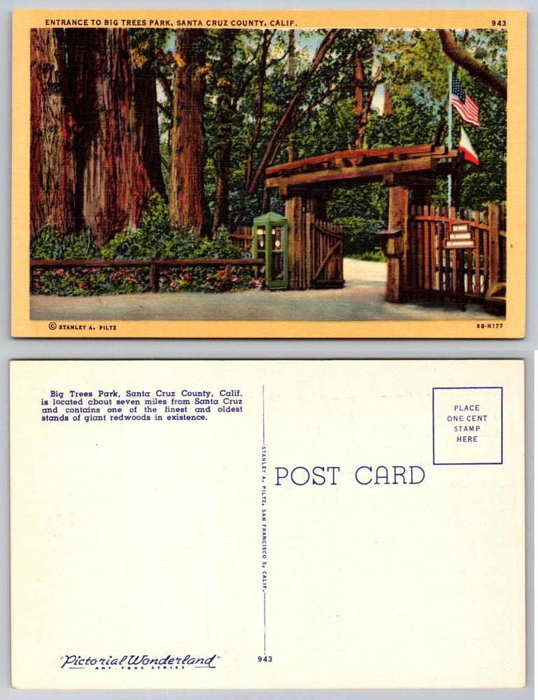 Big Trees Park Santa Cruz County CA Entrance Redwoods Postcard Linen