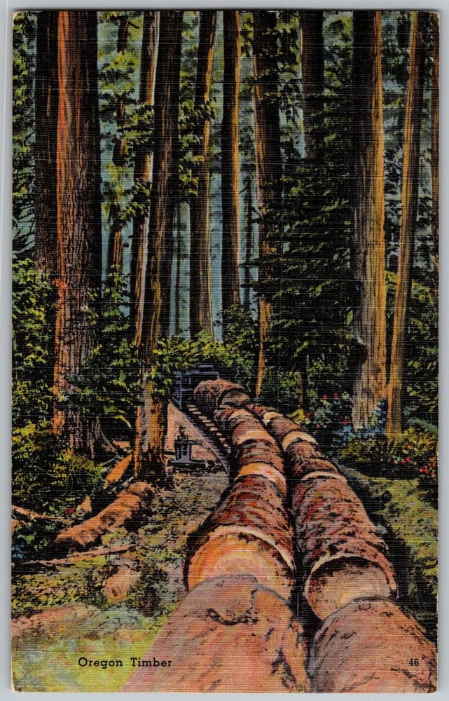 Vtg Linen Postcard Timber Logging Logs Oregon, US 1940s