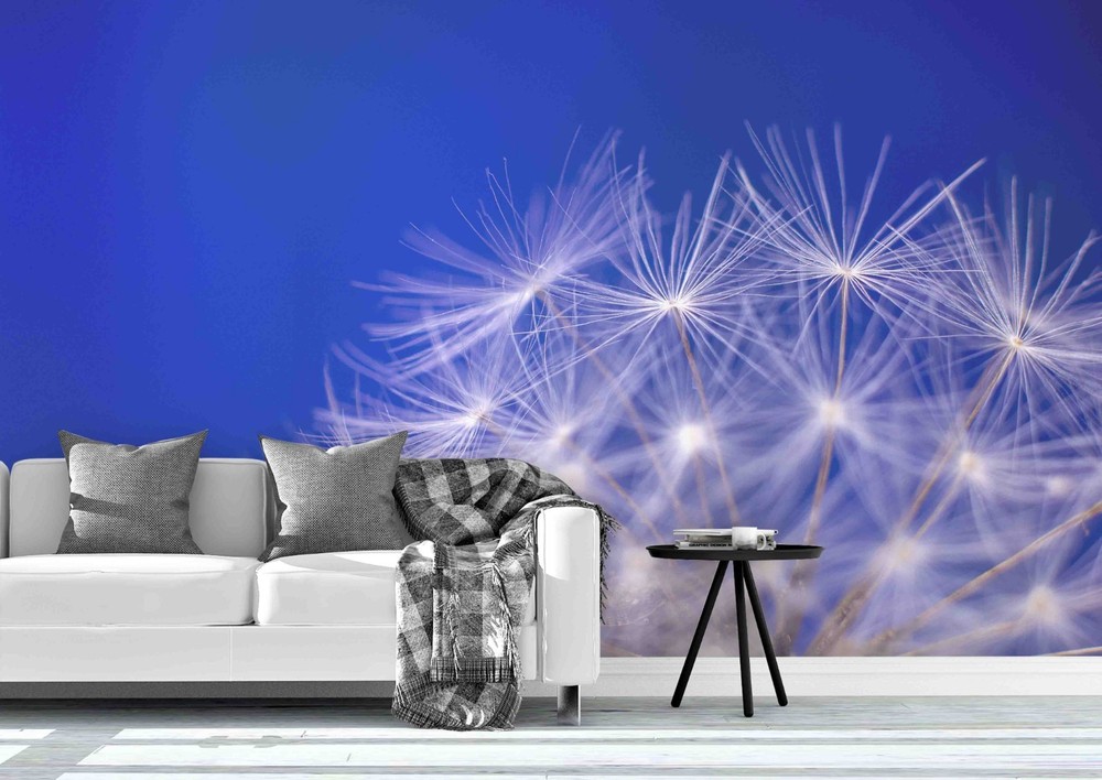 3D Dandelion Seeds Close-up Wall Murals Wallpaper Murals Wall Sticker