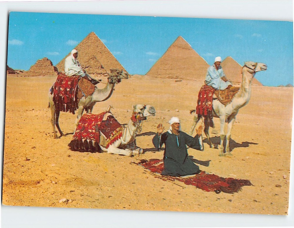 Postcard Arab Camel Riders in Front of the Pyramids Giza Egpyt